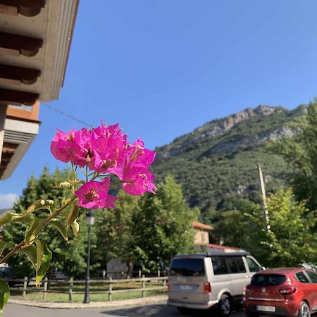 Cumbres De Los Picos Apartamento Los Abedules Poo  Екстер'єр фото